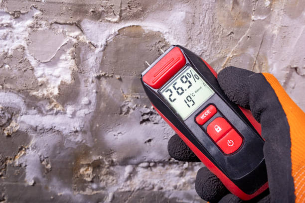 Best Best Mold Removal Companies  in Hometown, PA