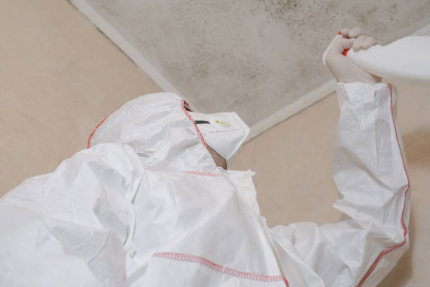 Best Toxic Mold Removal  in Hometown, PA