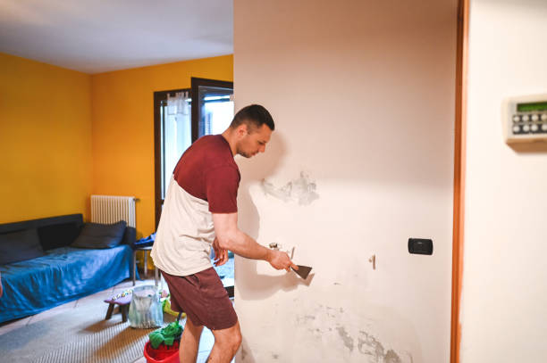 Best Professional Mold Removal  in Hometown, PA